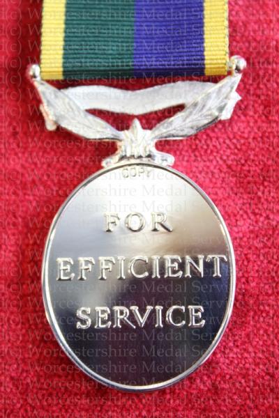 T&AVR Efficiency Medal