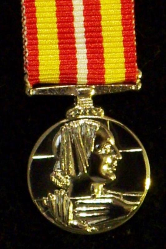 Worcestershire Medal Service: Voluntary Medical Services