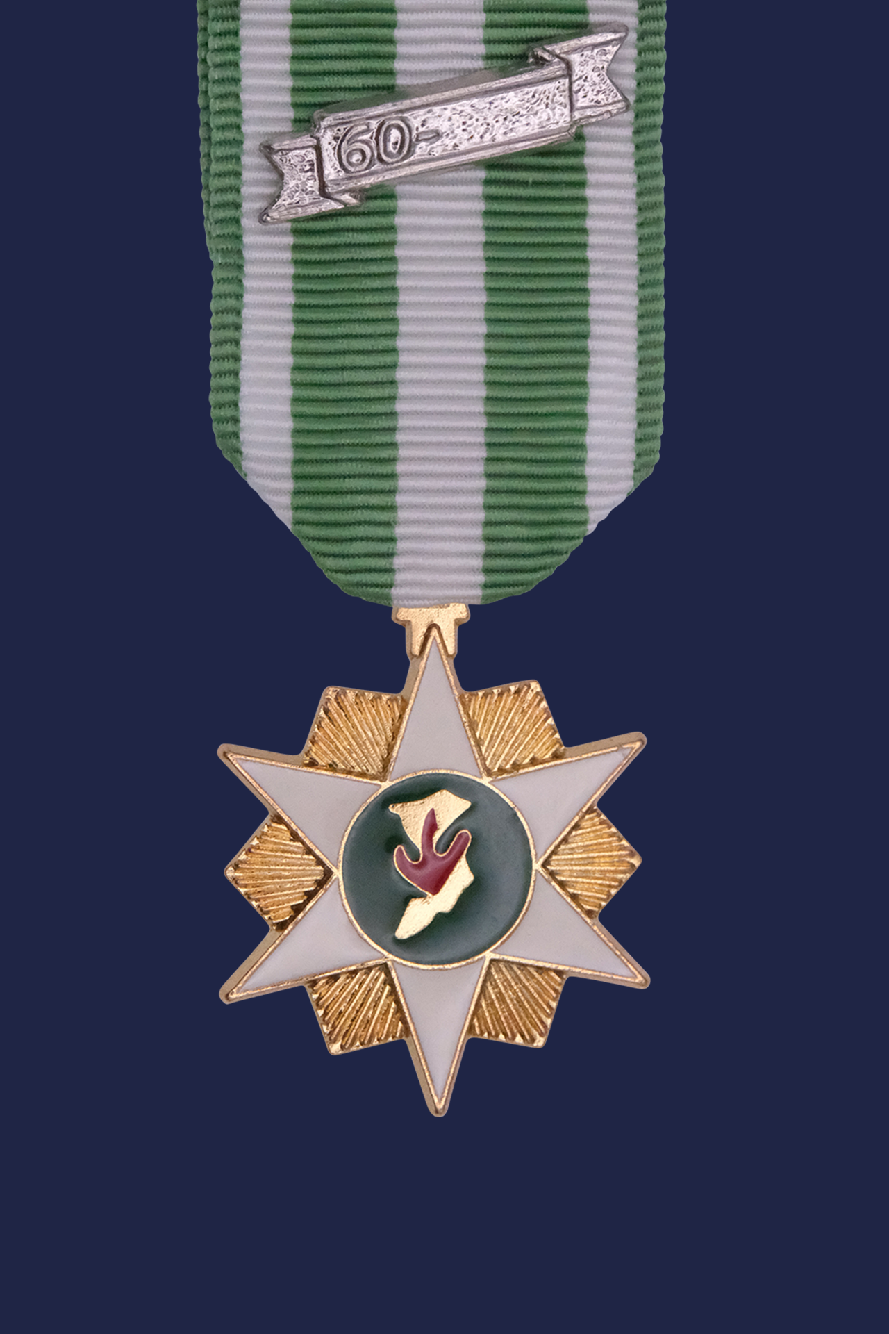 Worcestershire Medal Service: Vietnam - Government Star