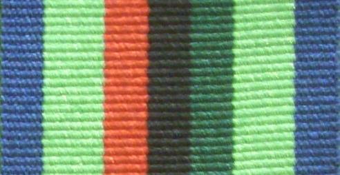 Worcestershire Medal Service: RUC Service Medal (New)