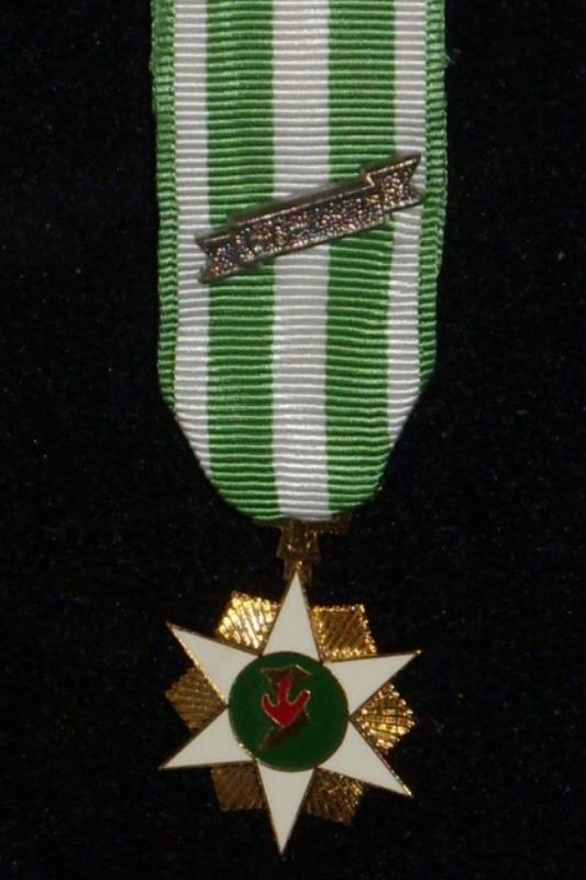 Worcestershire Medal Service: Vietnam - Government Star