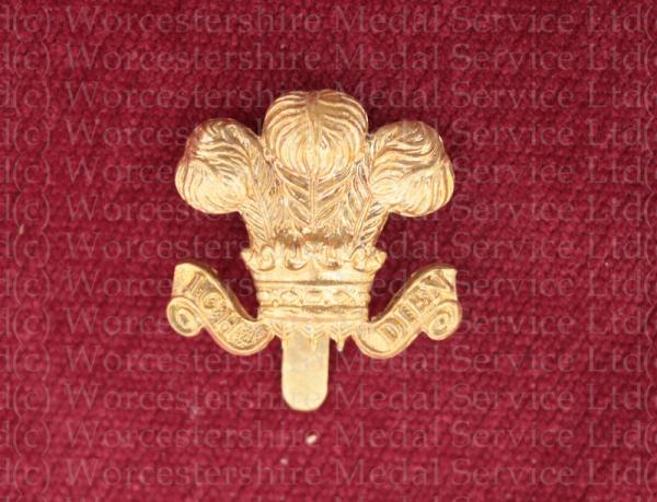 Worcestershire Medal Service: Denbighshire Yeomanry (Hussars)