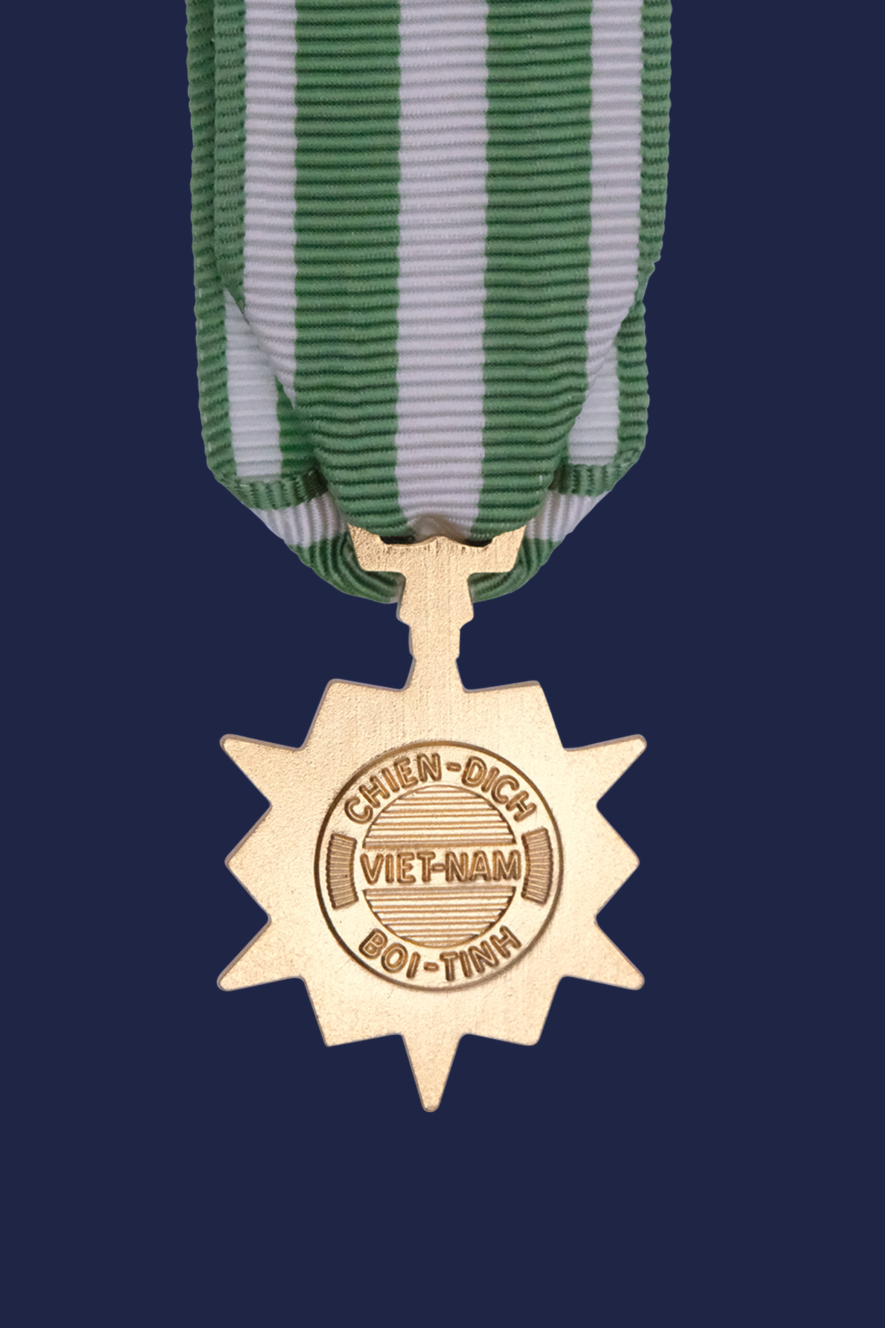 Vietnam - Government Star