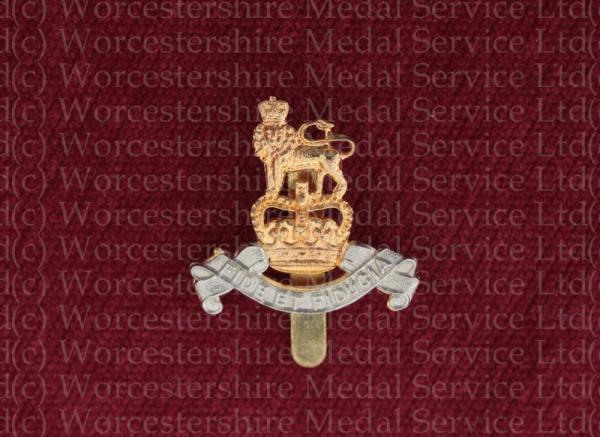 Worcestershire Medal Service: Royal Army Pay Corps QC (Beret Badge)