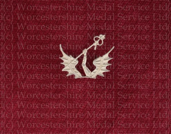 Worcestershire Medal Service: H.A.C. Volunteers