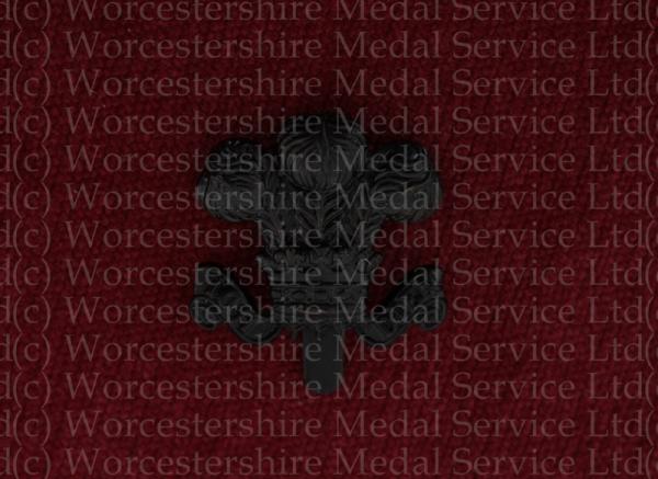 Worcestershire Medal Service: 15th Prince of Wales's Own Civil Service Rifles