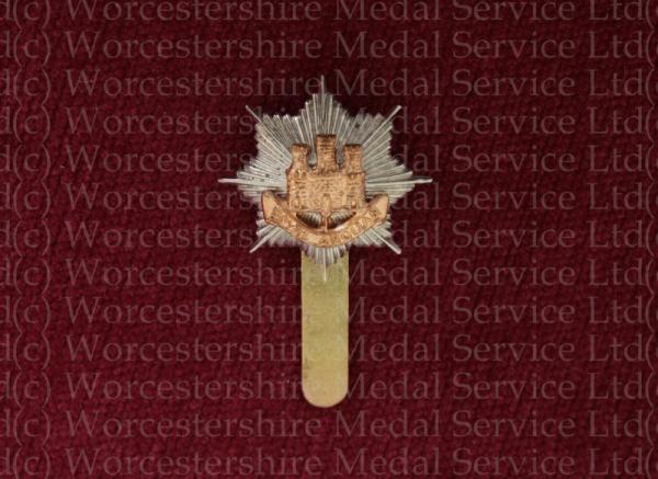 Worcestershire Medal Service: Royal Anglian Regt