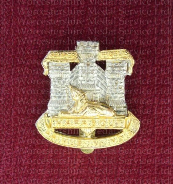 Worcestershire Medal Service: Devon & Dorset Regiment