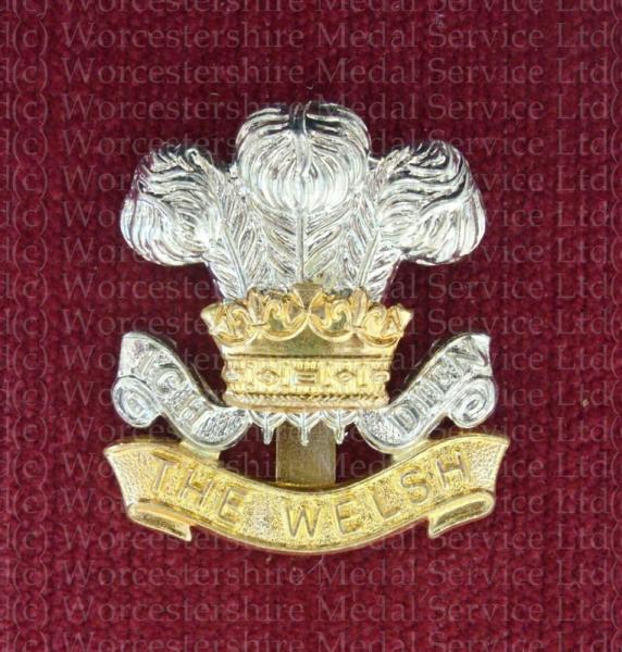 Worcestershire Medal Service: Welsh Regiment