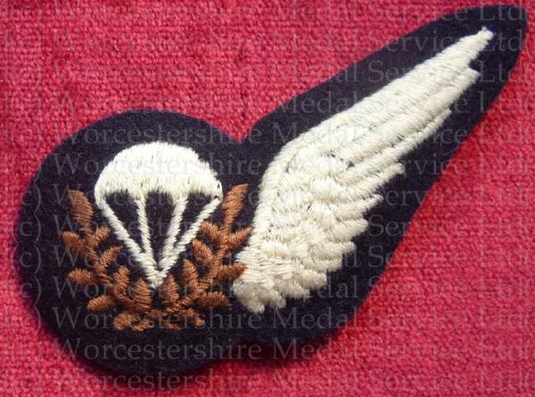 Worcestershire Medal Service: RAF Half Wings - Para