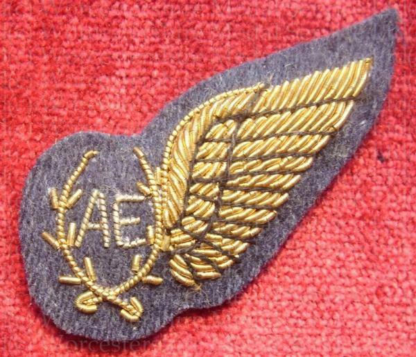 Worcestershire Medal Service: Half Wing - AE