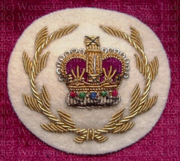 Worcestershire Medal Service: RQMS (White)