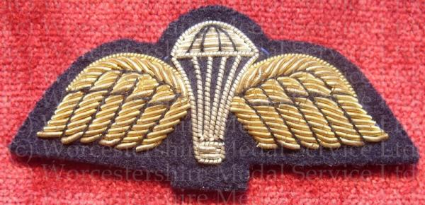 Worcestershire Medal Service: Para Wings (Navy)
