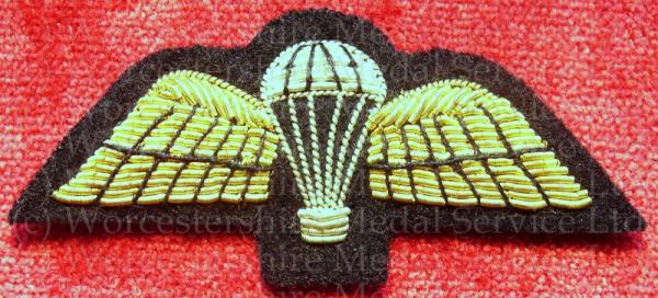 Worcestershire Medal Service: Para Wings (Black)