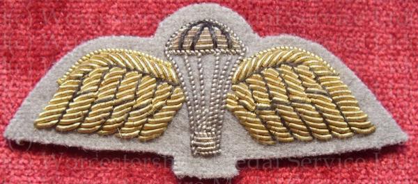 Worcestershire Medal Service: Para Wings (Grebe Grey)