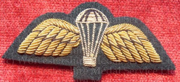 Worcestershire Medal Service: Para Wings (Dark Green)