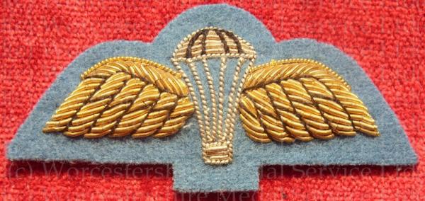 Worcestershire Medal Service: Para Wings (Pompadour Blue)