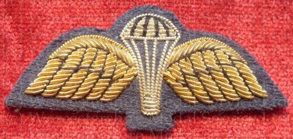 Worcestershire Medal Service: Para Wings (RAF)