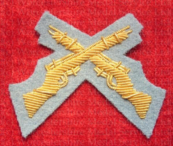 Worcestershire Medal Service: Crossed Rifles (Pompadour Blue)