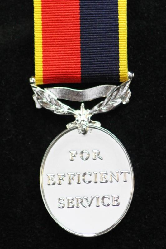 Efficiency Medal EIIR (Territorial) (HAC)