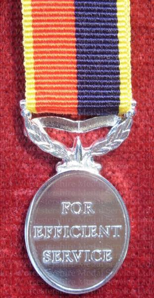 T&AVR Efficiency Medal EIIR (HAC)