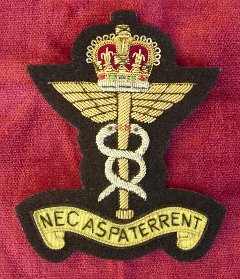 Worcestershire Medal Service: RAF Medical Branch Wire Blazer Badge