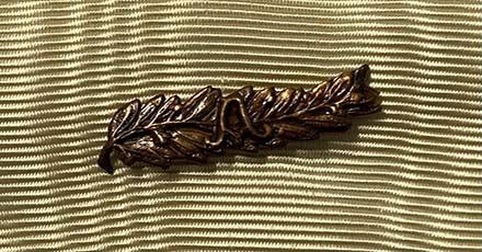 Worcestershire Medal Service: Belgium - Palm (Bronze) Albert