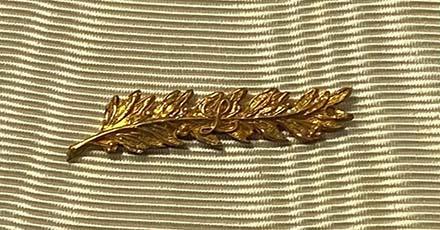 Worcestershire Medal Service: Gilt palm Leopold