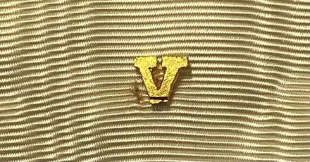 USA - V Emblem (Gilt)