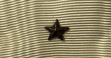 France - Croix de Guerre Star (Bronze)