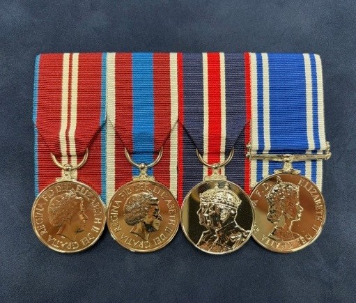 Full Size - Court Style Mount