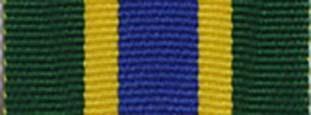 Worcestershire Medal Service: Kenya - DSM