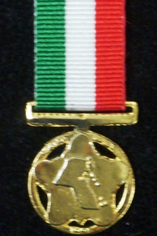 Worcestershire Medal Service: Kuwait - Liberation (Gold)