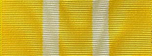 Worcestershire Medal Service: Queens Medal for Chiefs 1st Class