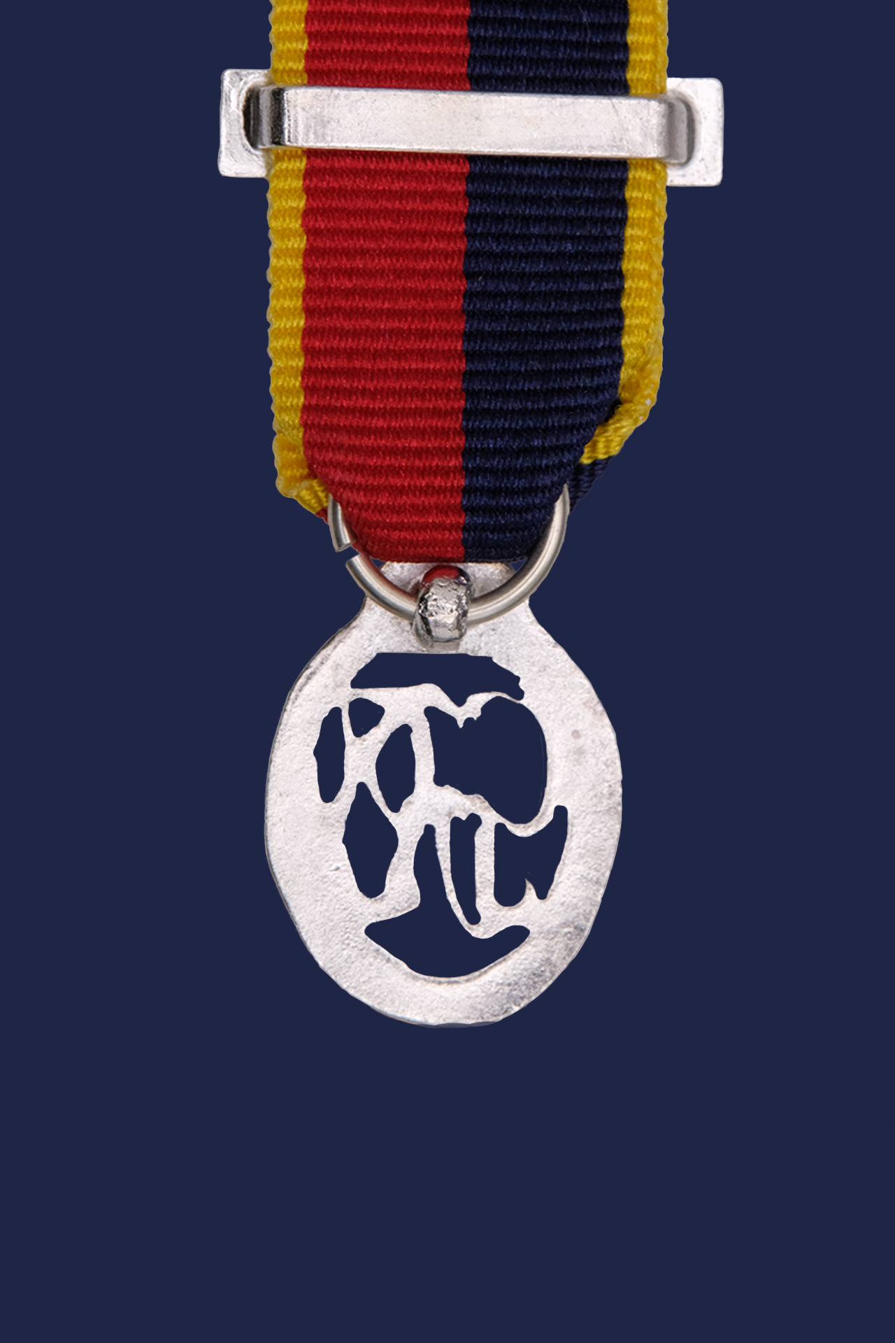 Territorial Decoration (HAC) - GVI
