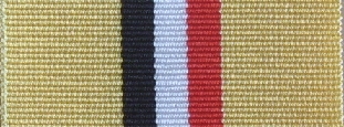 Worcestershire Medal Service: Iraq Medal (Op Telic)