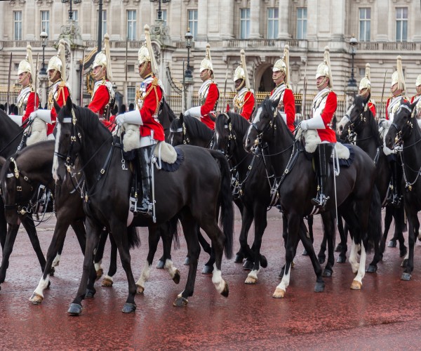 Cavalry