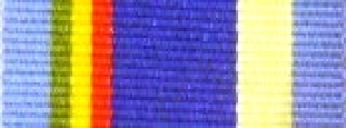 Worcestershire Medal Service: UN - Mali (MINUSMA)